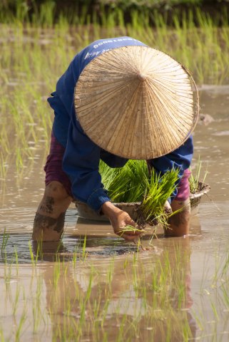 Foto's Rondreis Vietnam 2016