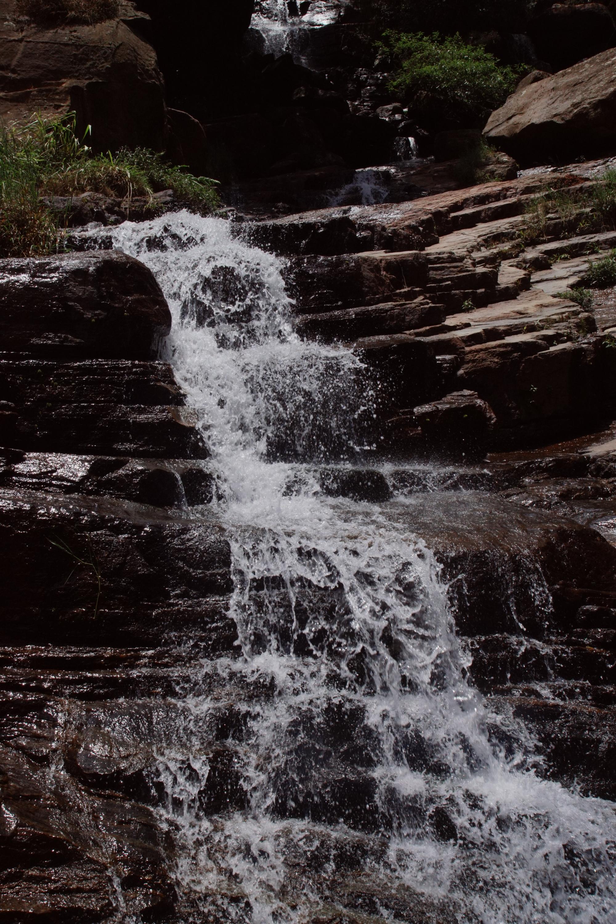 DSC09833.jpg